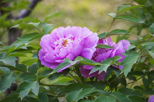 23句关于爱自己的话，希望能给你带来快乐和积极的能量(图3)