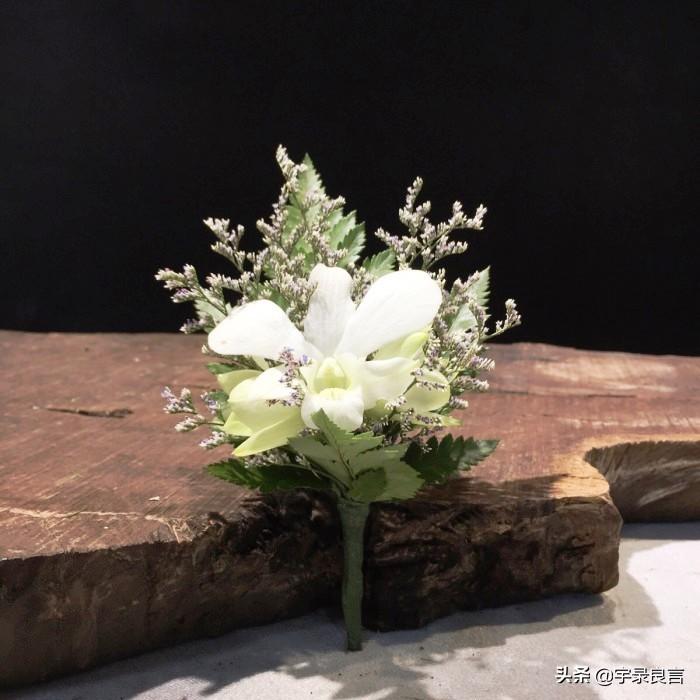 心态平和的句子，精致唯美，触动人心(图2)