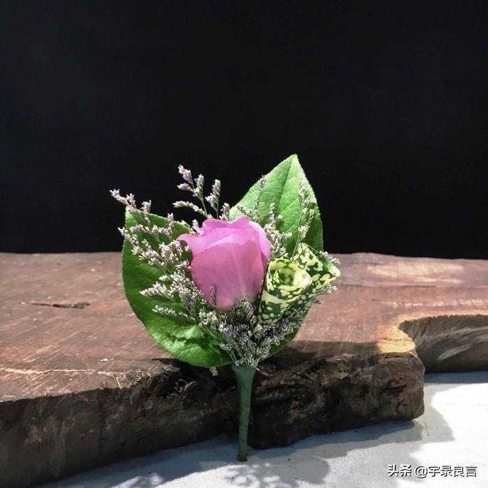 心态平和的句子，精致唯美，触动人心(图3)