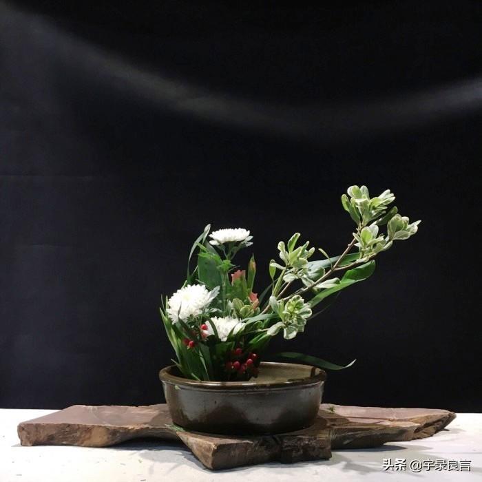 心态平和的句子，精致唯美，触动人心(图4)