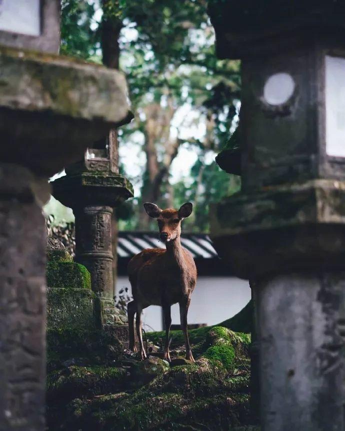 旅行发朋友圈不知道配什么文案？看完让你瞬间变高级(图7)