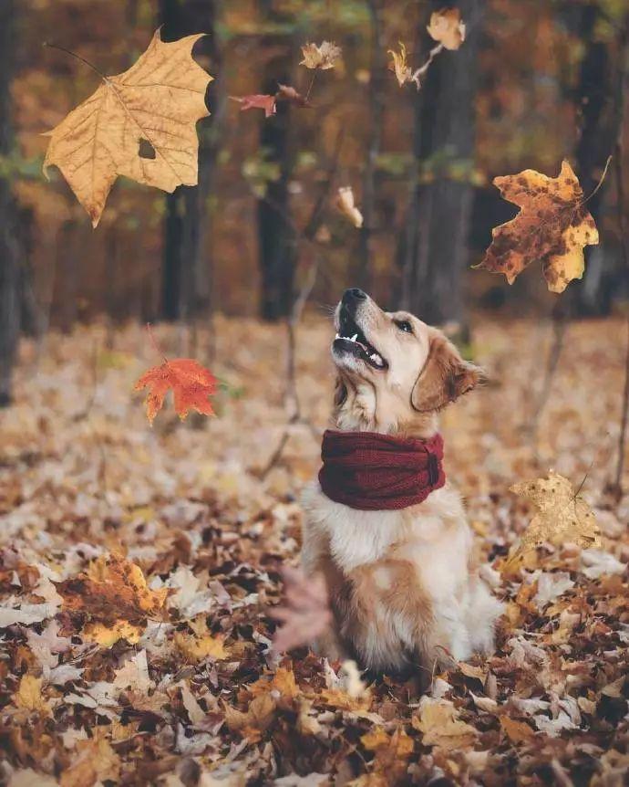 旅行发朋友圈不知道配什么文案？看完让你瞬间变高级(图9)