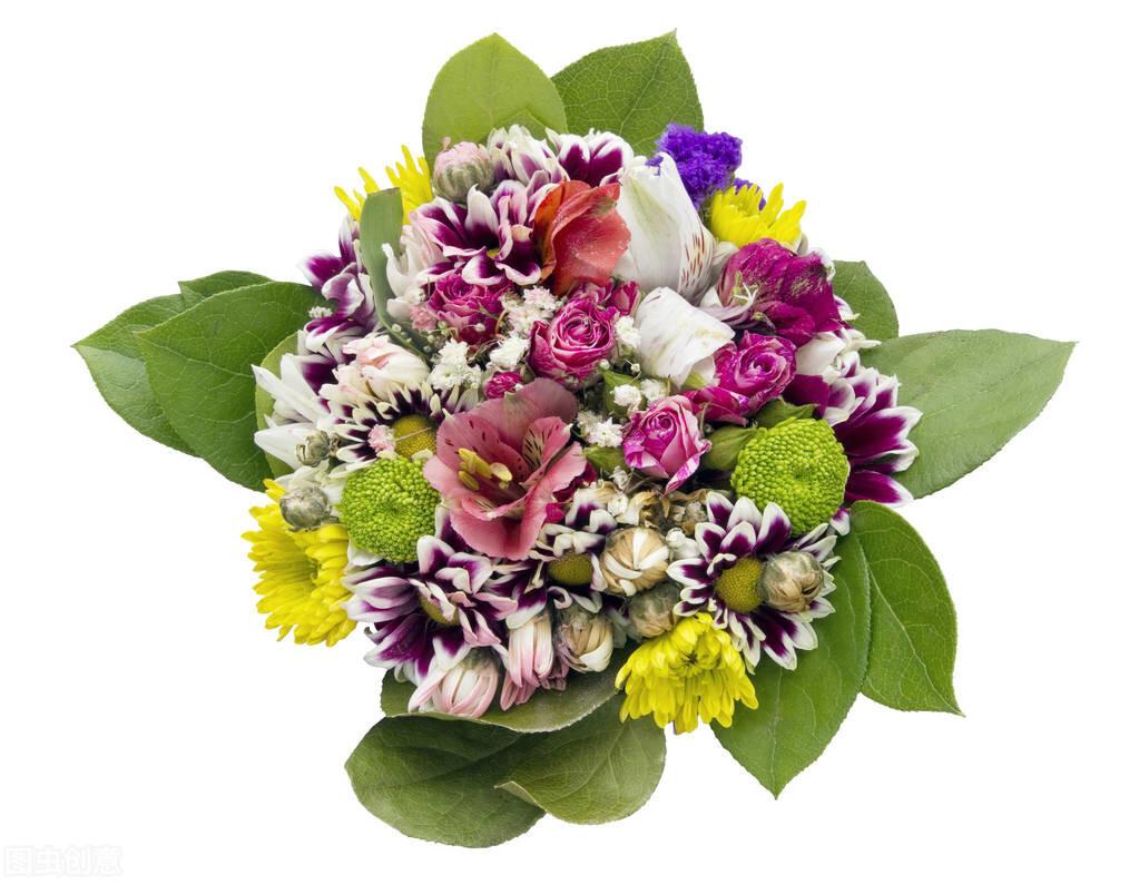 《寻梦环游记》10句经典英文台词，带你重温这部温馨感人的电影(图5)