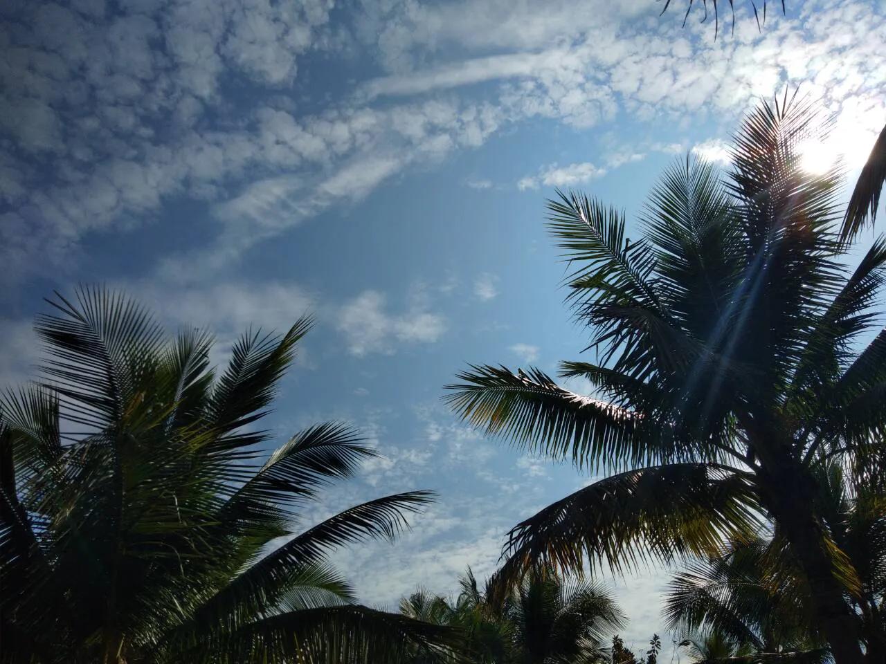 关于日落 / 晚霞的温柔朋友圈 / 说说文案(图2)