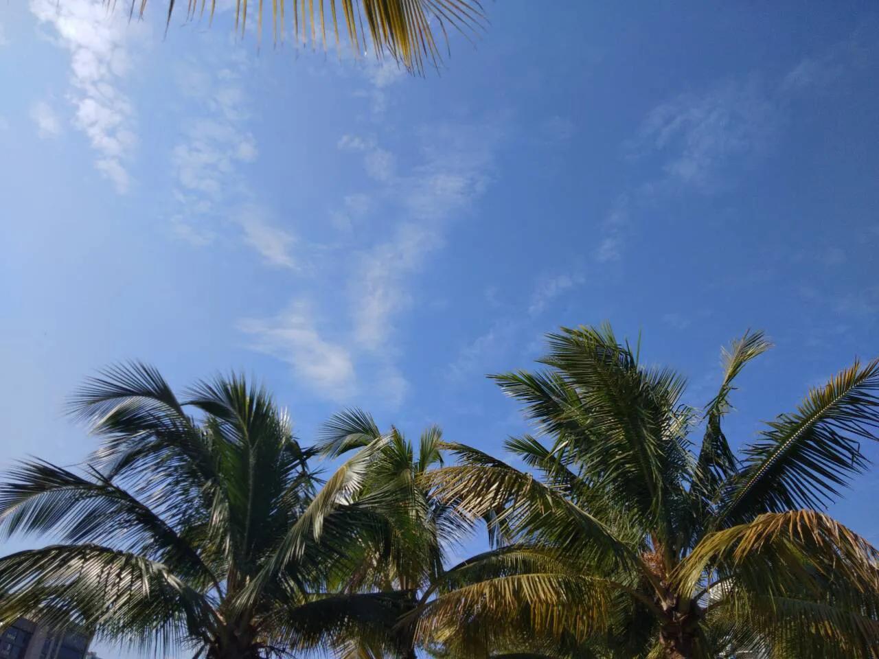 关于日落 / 晚霞的温柔朋友圈 / 说说文案(图3)