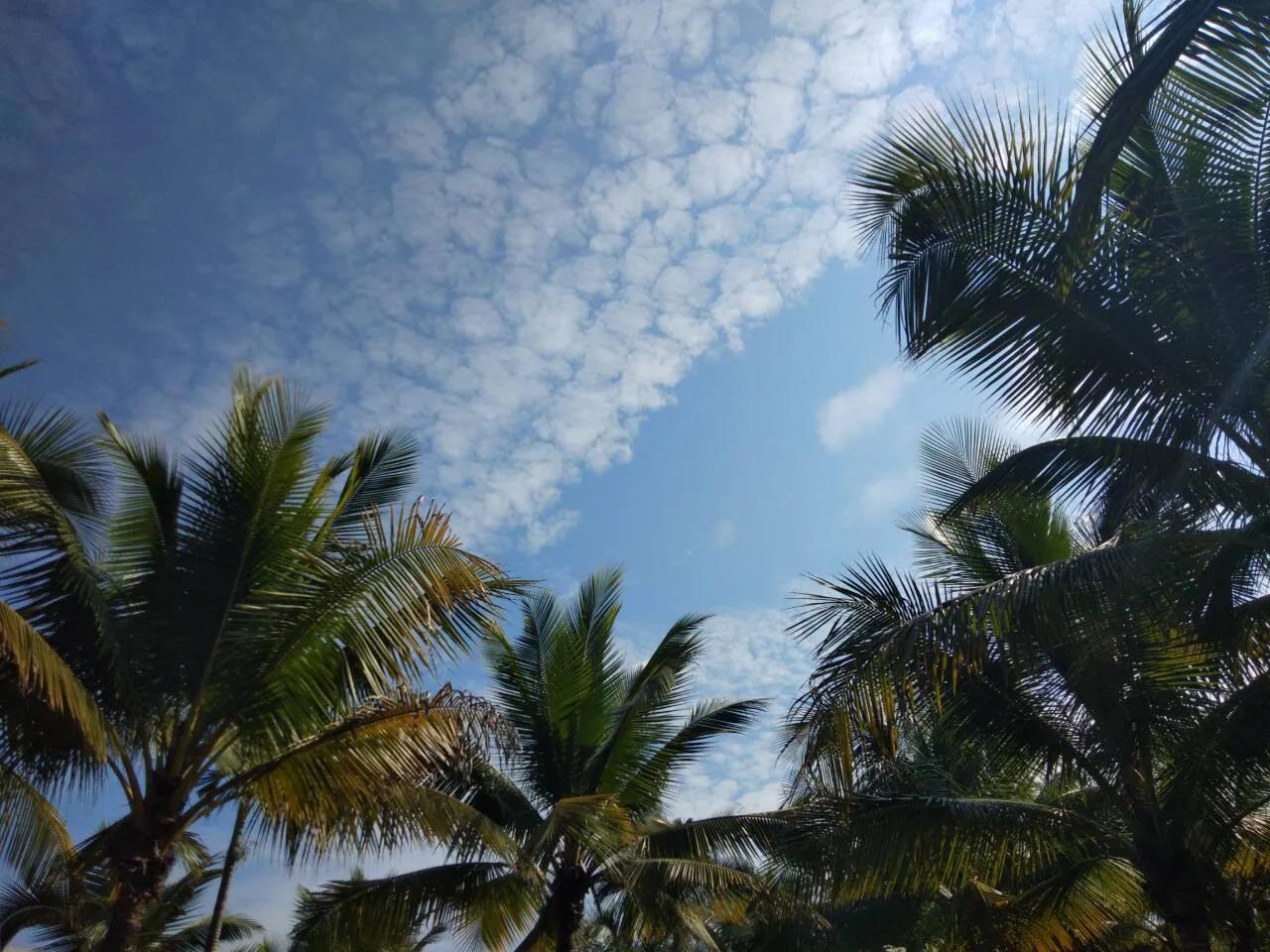 关于日落 / 晚霞的温柔朋友圈 / 说说文案(图5)