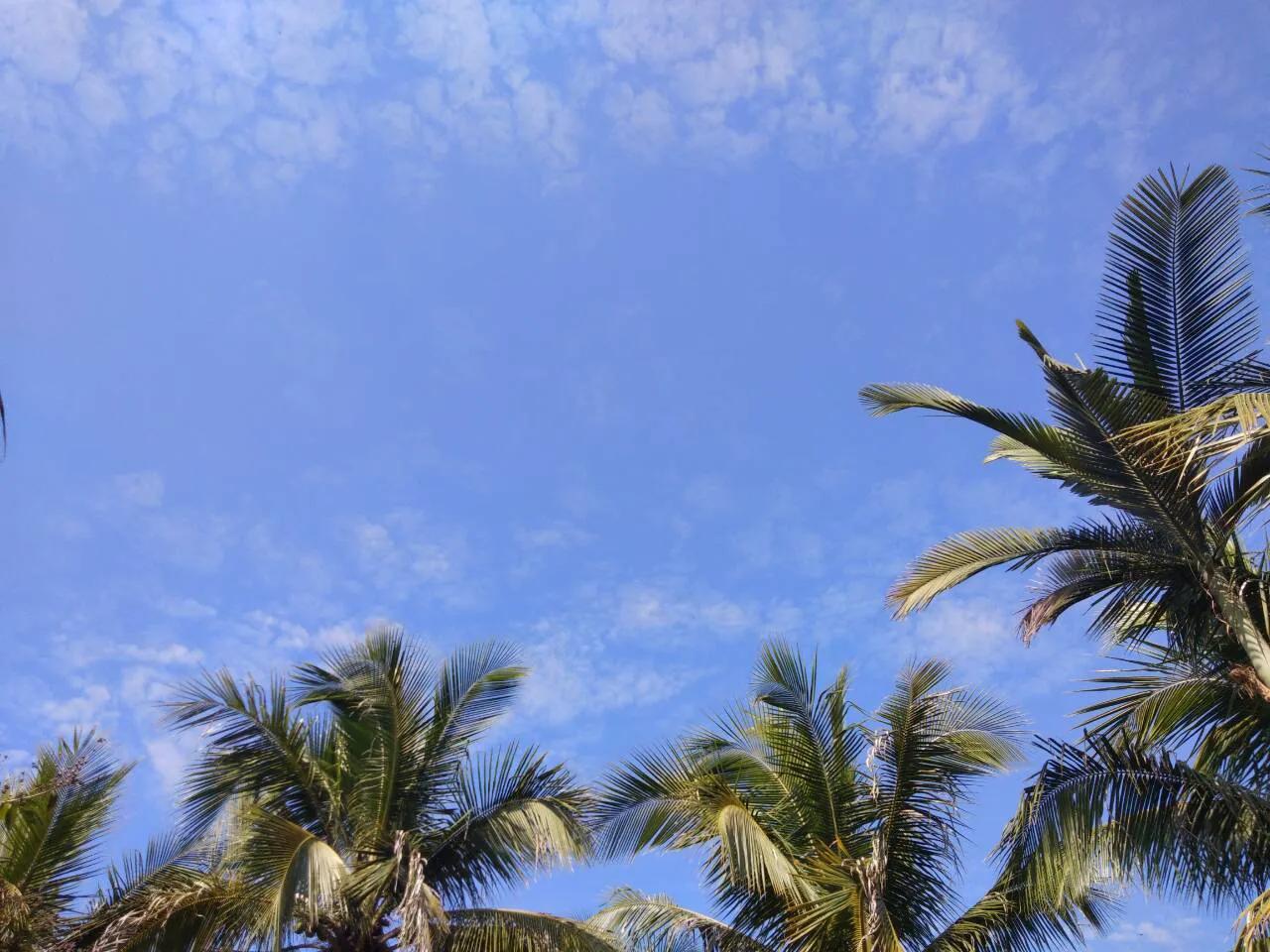 关于日落 / 晚霞的温柔朋友圈 / 说说文案(图8)