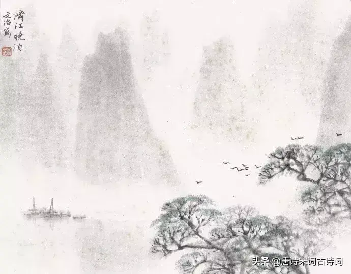 一季花开，只闻花香，不争朝夕(图5)