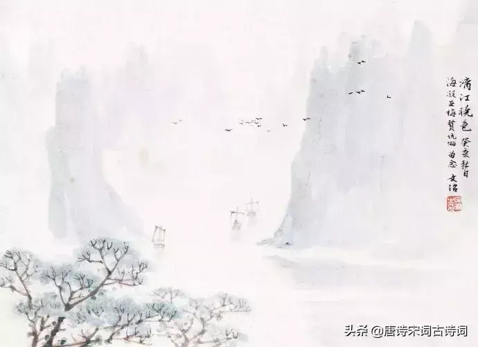 一季花开，只闻花香，不争朝夕(图6)