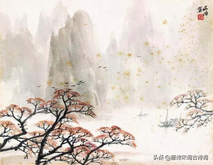 一季花开，只闻花香，不争朝夕(图7)