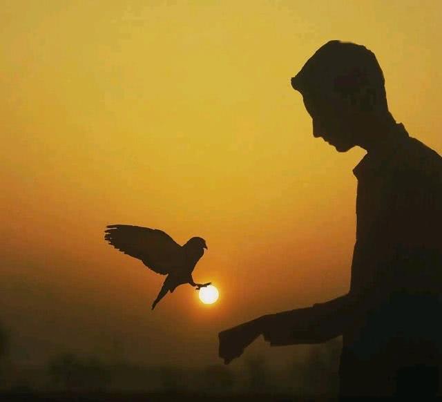 鼓励自己努力奋斗的说说，新潮霸气，年轻人最爱！(图7)