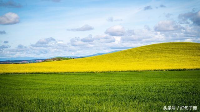 让自己更加自信的励志名言警句，句句霸气侧漏，一切靠自己！(图2)