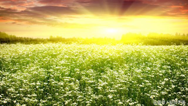 让自己更加自信的励志名言警句，句句霸气侧漏，一切靠自己！(图4)