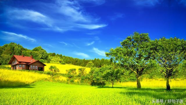 让自己更加自信的励志名言警句，句句霸气侧漏，一切靠自己！(图5)