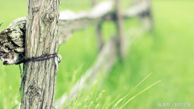 让自己更加自信的励志名言警句，句句霸气侧漏，一切靠自己！(图7)
