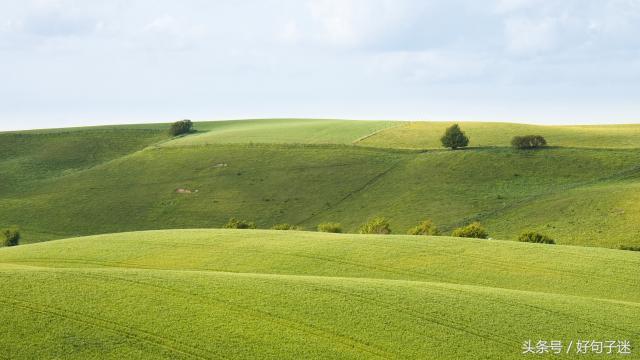 让自己更加自信的励志名言警句，句句霸气侧漏，一切靠自己！(图8)