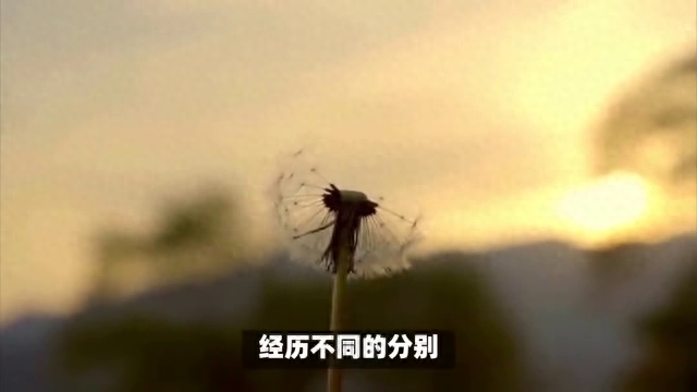 分别时不舍的优美话语(图1)