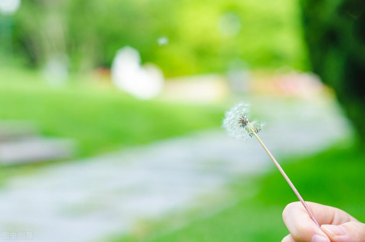 成年人的世界，不见面，只怀念的句子(图2)