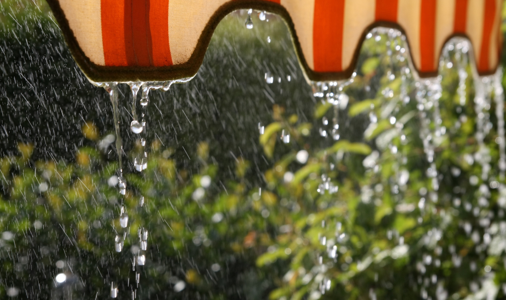 走进夏日的雨，有关夏日雨的古诗词，清凉了整个夏天！(图3)