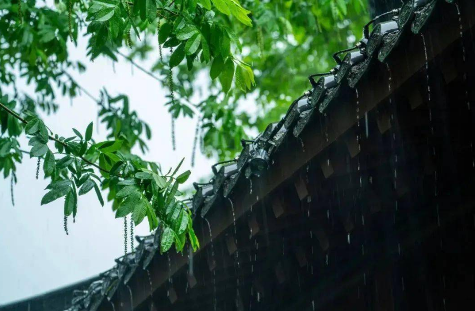 走进夏日的雨，有关夏日雨的古诗词，清凉了整个夏天！(图9)