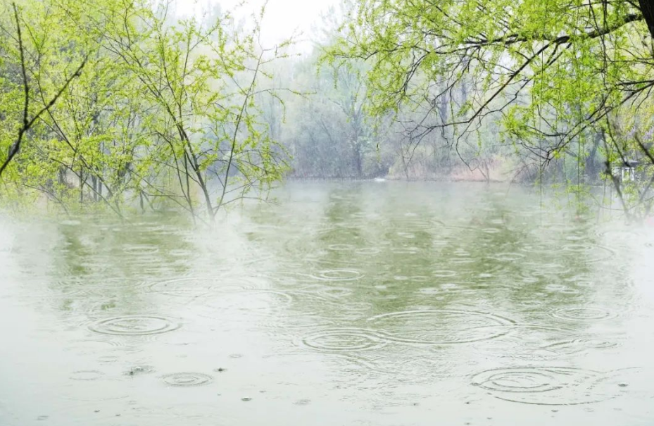 走进夏日的雨，有关夏日雨的古诗词，清凉了整个夏天！(图11)