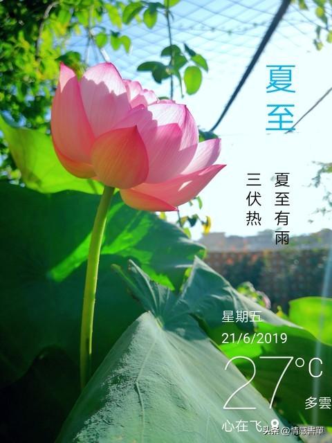 夏日阵雨中的浪漫诗篇：一场雨，一段往事，微凉时光里的美好邂逅(图2)