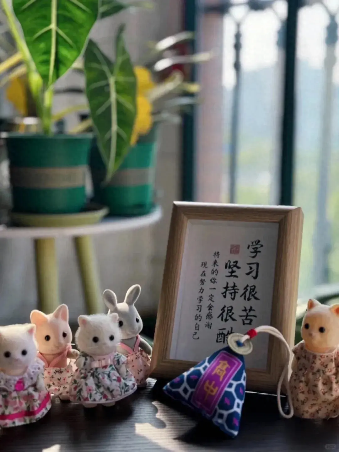 九年寒窗苦读| 中考加油(图1)