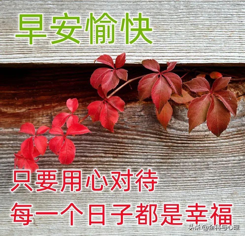 时间会飘远，岁月会流失，记忆会定格，美好会永存(图7)