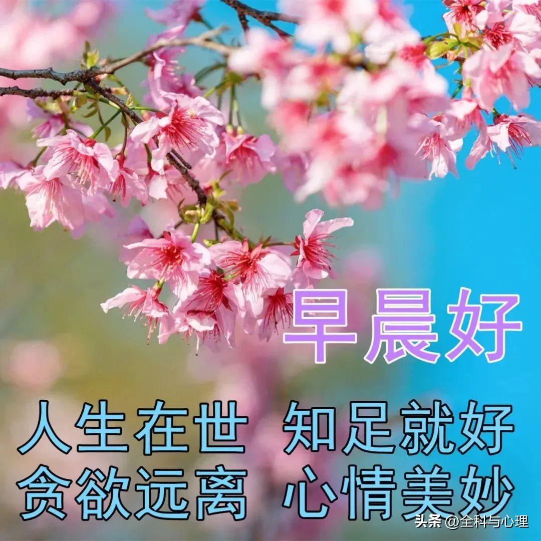 时间会飘远，岁月会流失，记忆会定格，美好会永存(图12)