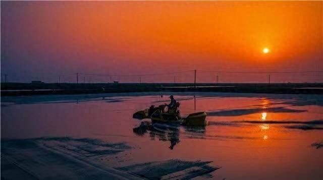 等风，等雨，等时间嘉许；待朝，待夕，待清风顺意(图1)