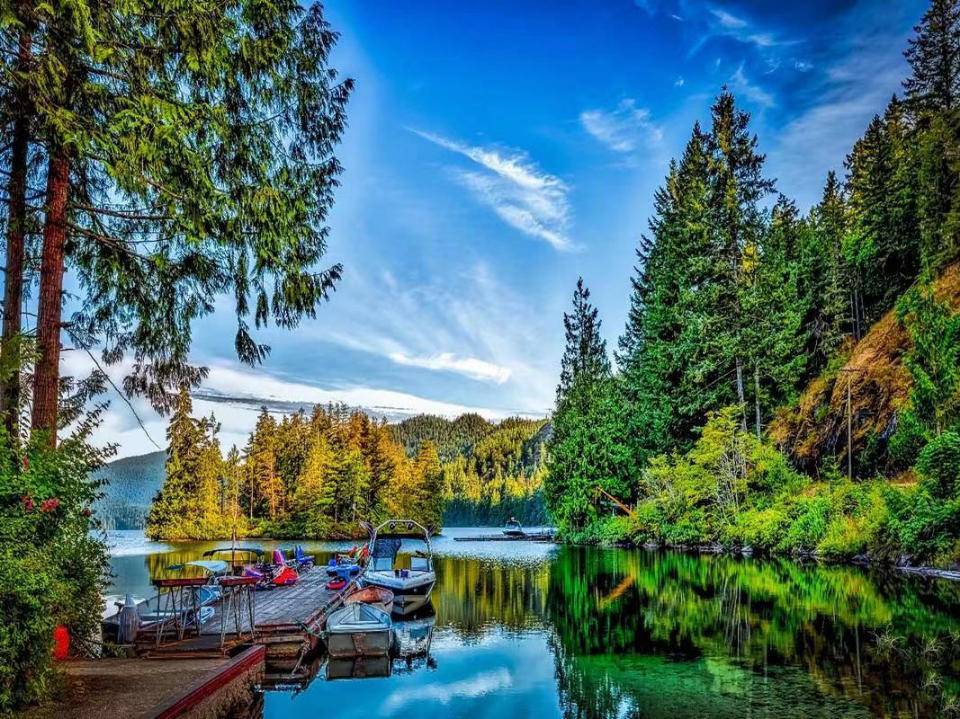 等风，等雨，等时间嘉许；待朝，待夕，待清风顺意(图4)