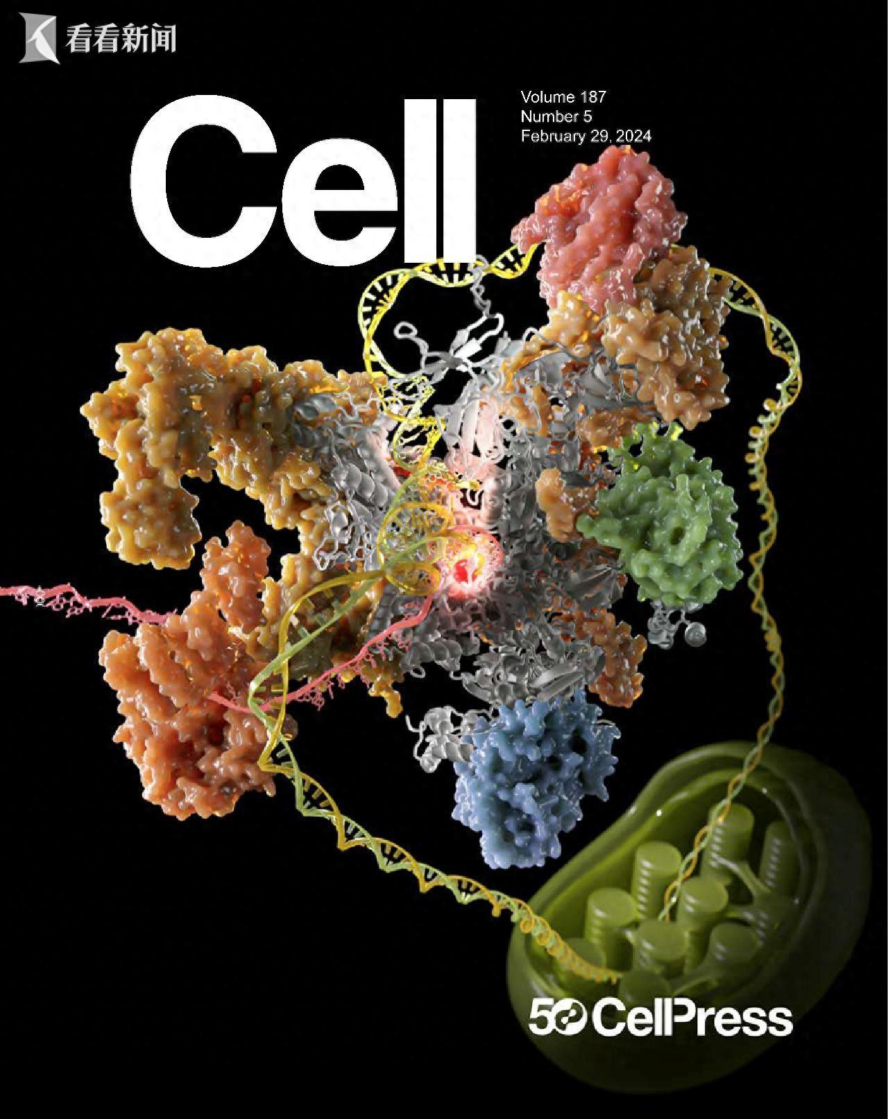 通过叶绿体助力减碳？上海科学家攻破世界性难题(图1)