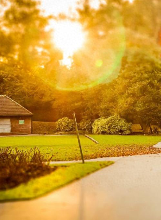 人生梦一场，没有什么对不对……想爱就爱，该恨就恨！(图1)