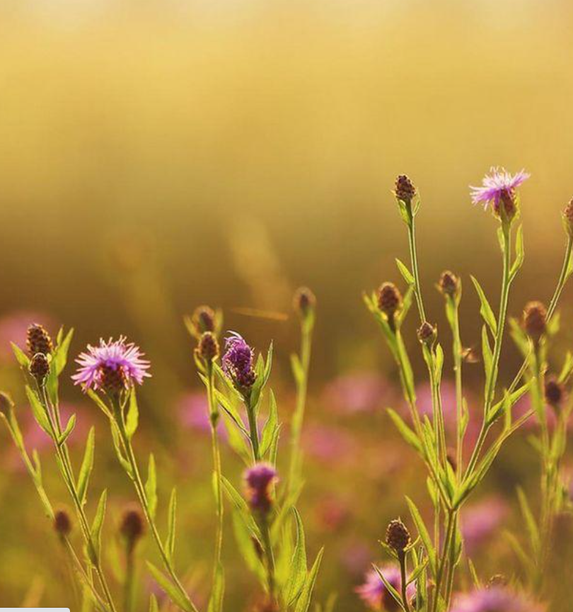 人生梦一场，没有什么对不对……想爱就爱，该恨就恨！(图3)