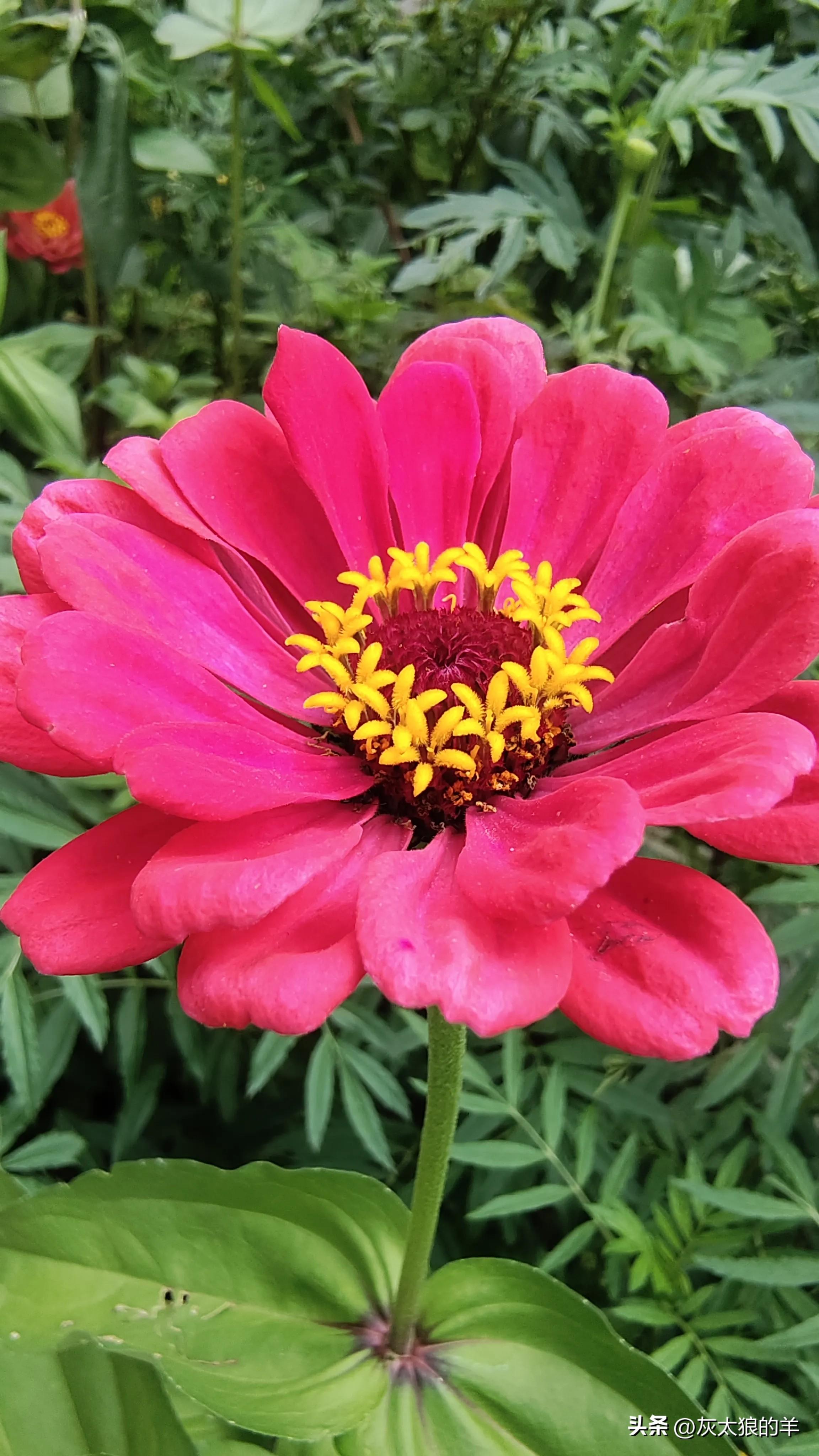 流年笑掷，未来可期，青春不负，与你相遇，是最美的风景。(图5)