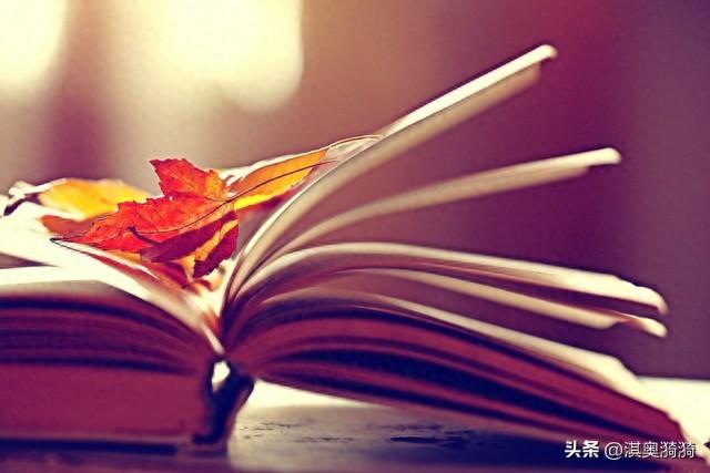 人不言弃，则未来可期；志存高远，则天地可容(图1)