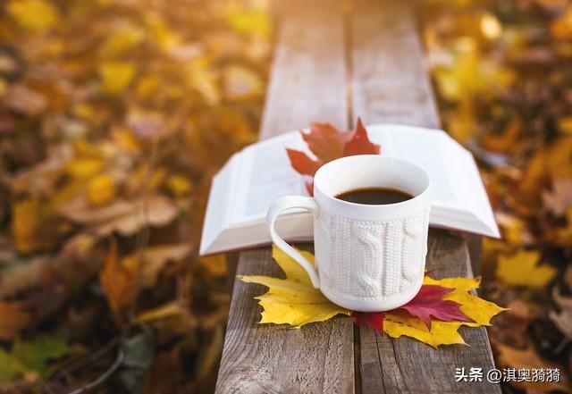 人不言弃，则未来可期；志存高远，则天地可容(图4)