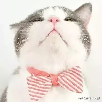 咪蒙公众号注销，但这些语录或许值得收藏(图6)