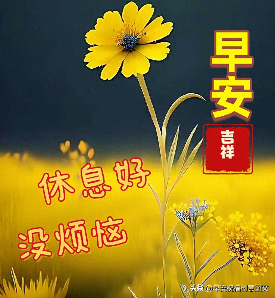 「2024.7.10」早安温馨祝福，带字经典问候语短句，愿幸福满满(图1)