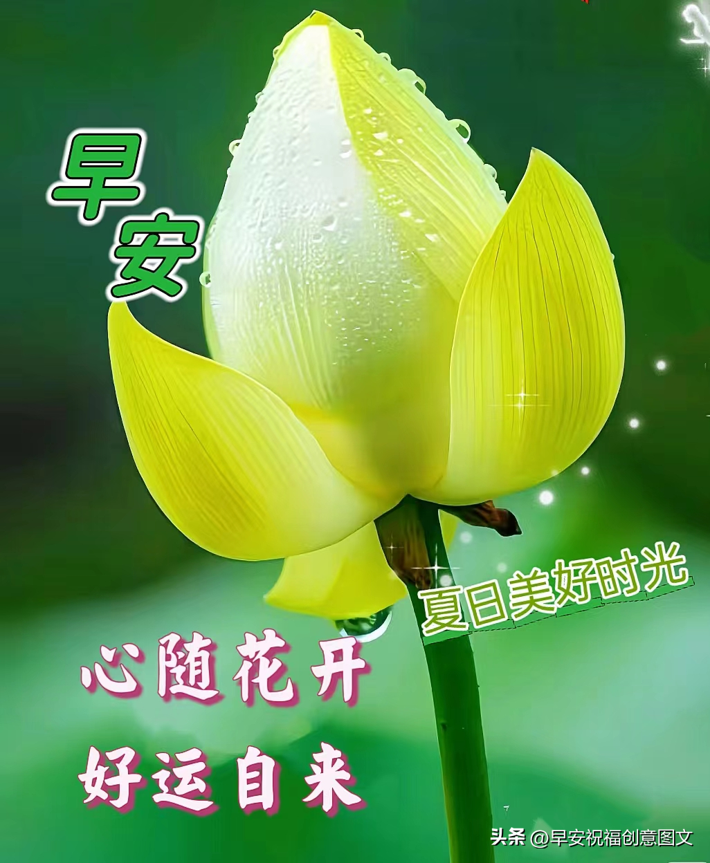 「2024.7.10」早安温馨祝福，带字经典问候语短句，愿幸福满满(图3)