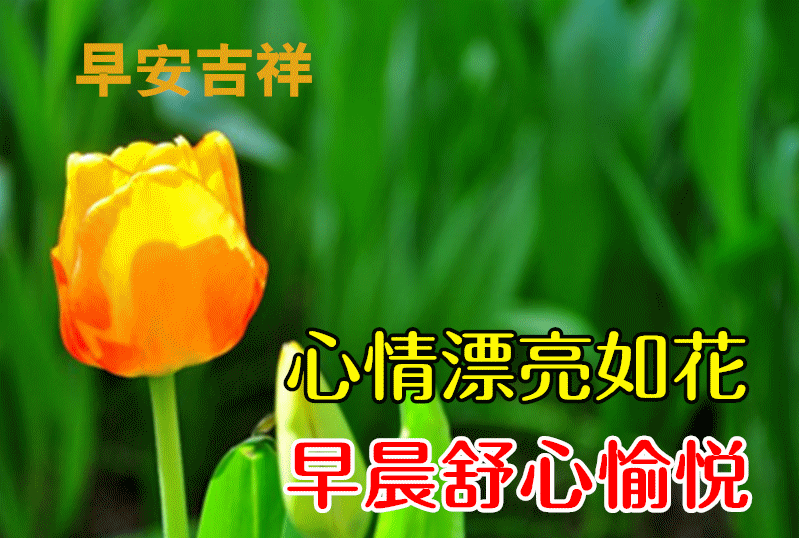 「2024.7.10」早安温馨祝福，带字经典问候语短句，愿幸福满满(图5)