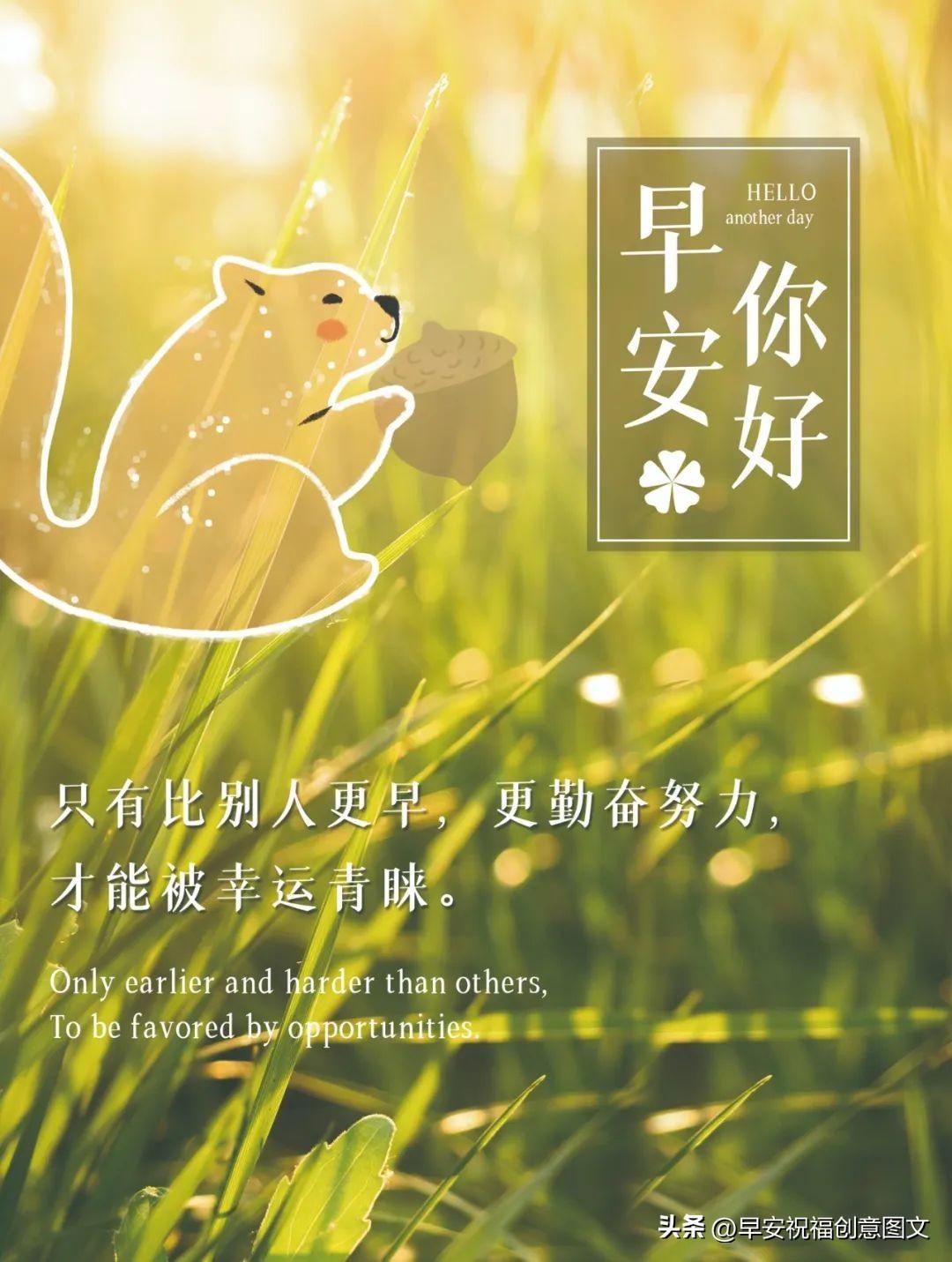 「2024.7.9」早安温暖心语问候，朋友圈创意祝福文案，愿幸福如意(图5)