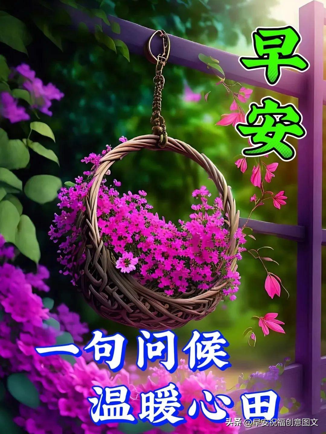 「2024.7.9」早安温暖心语问候，朋友圈创意祝福文案，愿幸福如意(图7)