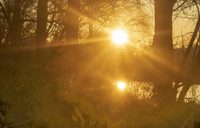 25句愿将一份欢喜，深深嵌入生活，从容行，浅浅笑。(图3)