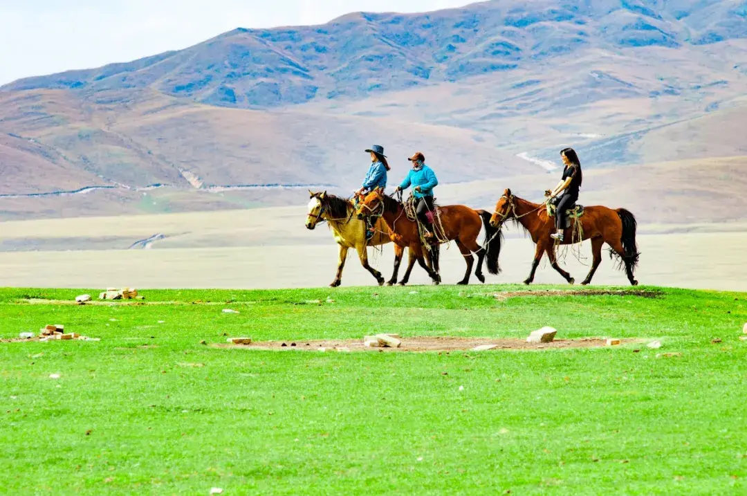 60句励志诗词，催人向上：乾坤未定，你我皆是黑马(图4)