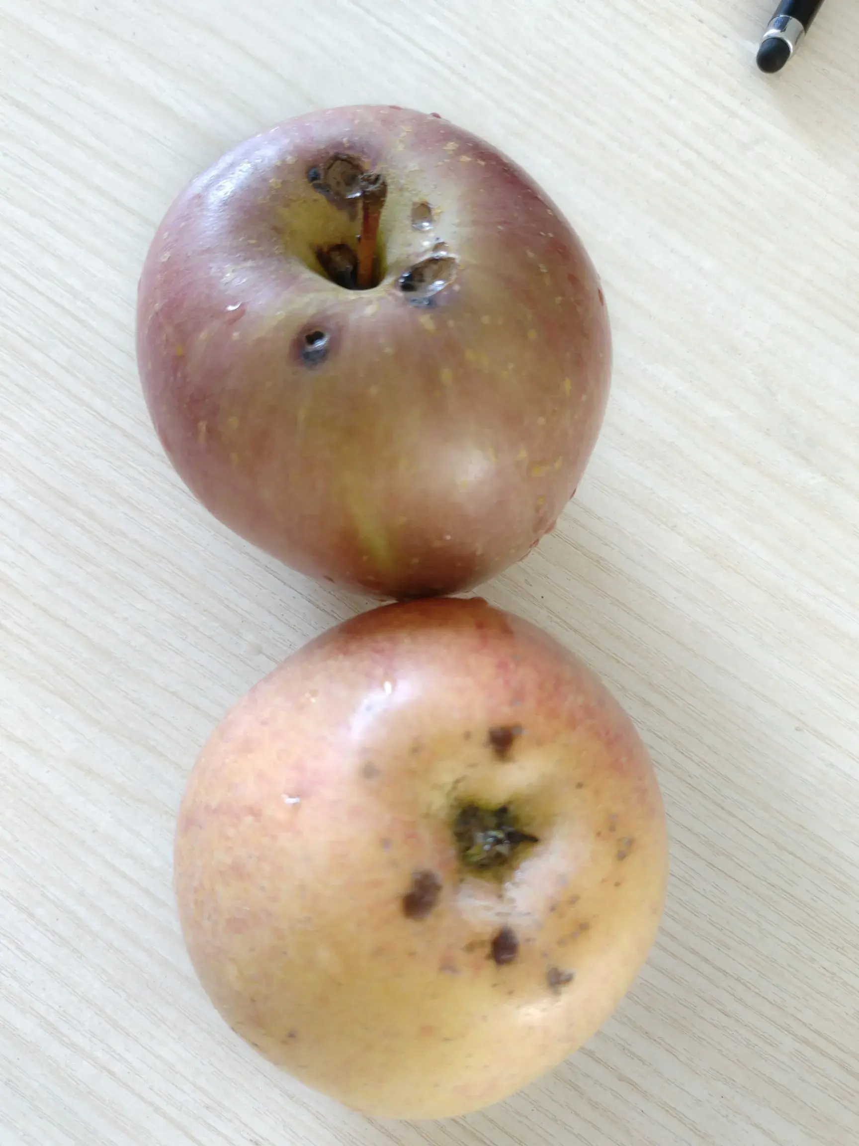 不爽的网购经历你有过吗？(图3)