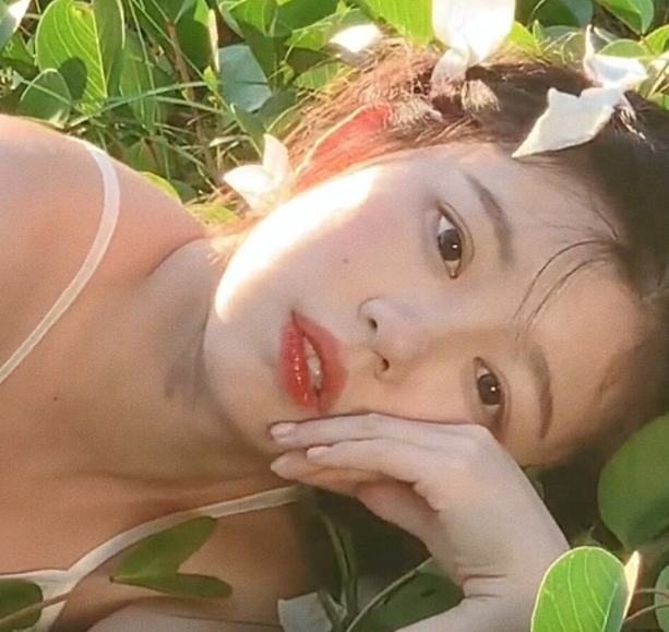 仙气十足的温柔治愈文案(图10)