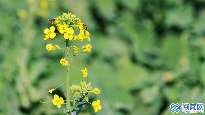 温柔的文案干净治愈长句 最新让人心动的温柔励志文案推荐(图1)