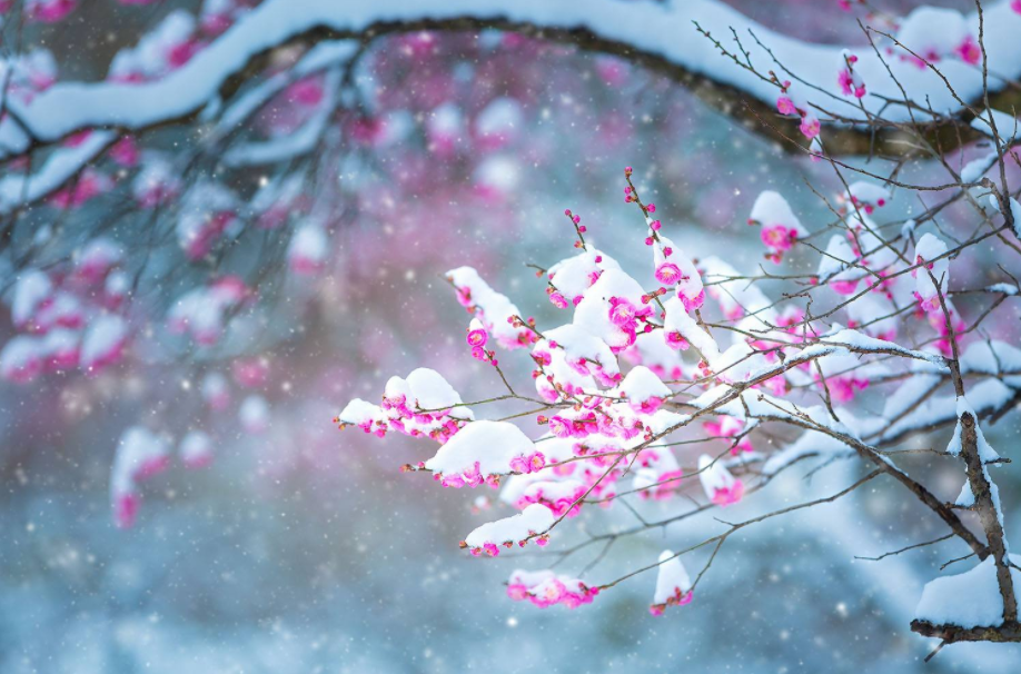 黄正华 | 心态调和少生气，坚持锻炼体格强（原创诗词十五首）(图15)