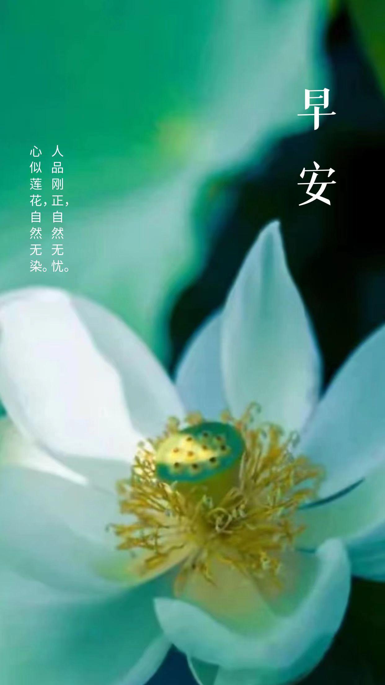 早安励志语录 | 读书可以经历一千种人生，不读书的人只能活一次(图3)